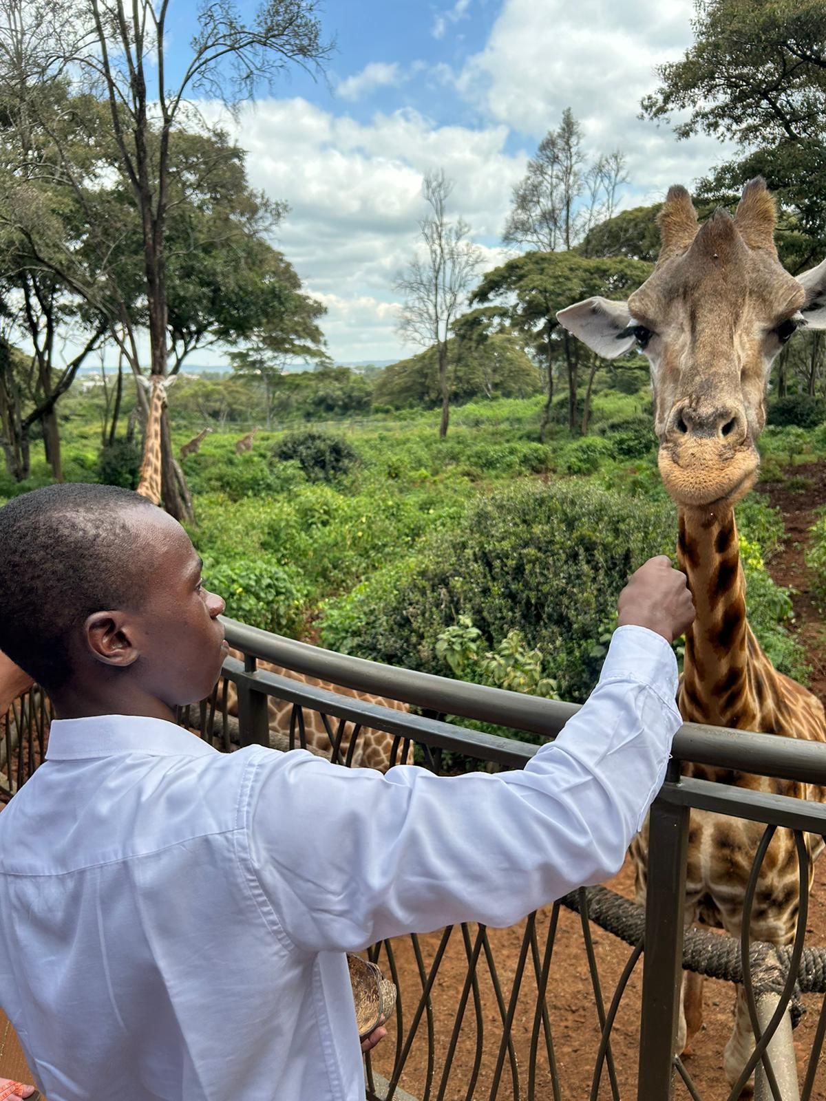 John feeding a giraffe at the Giraffe Centre in Nairobi