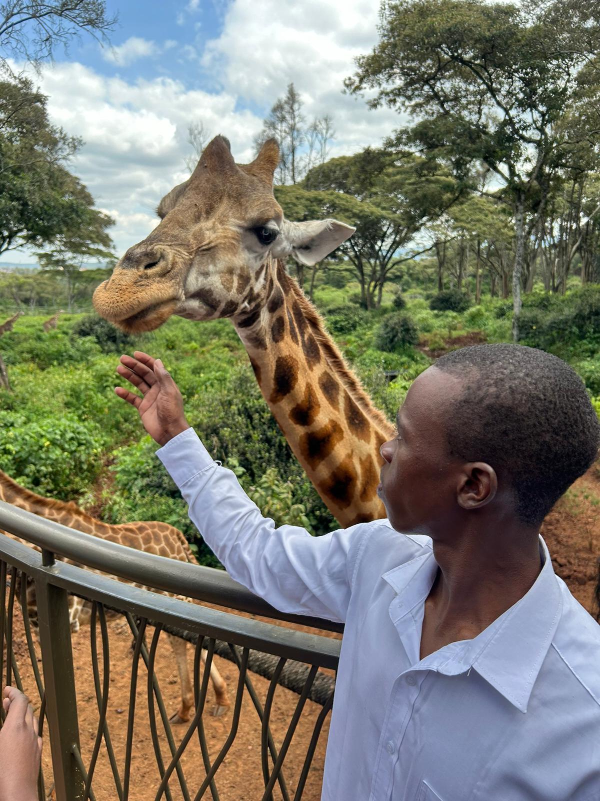 John reaching out toward a giraffe in the Nairobi forest